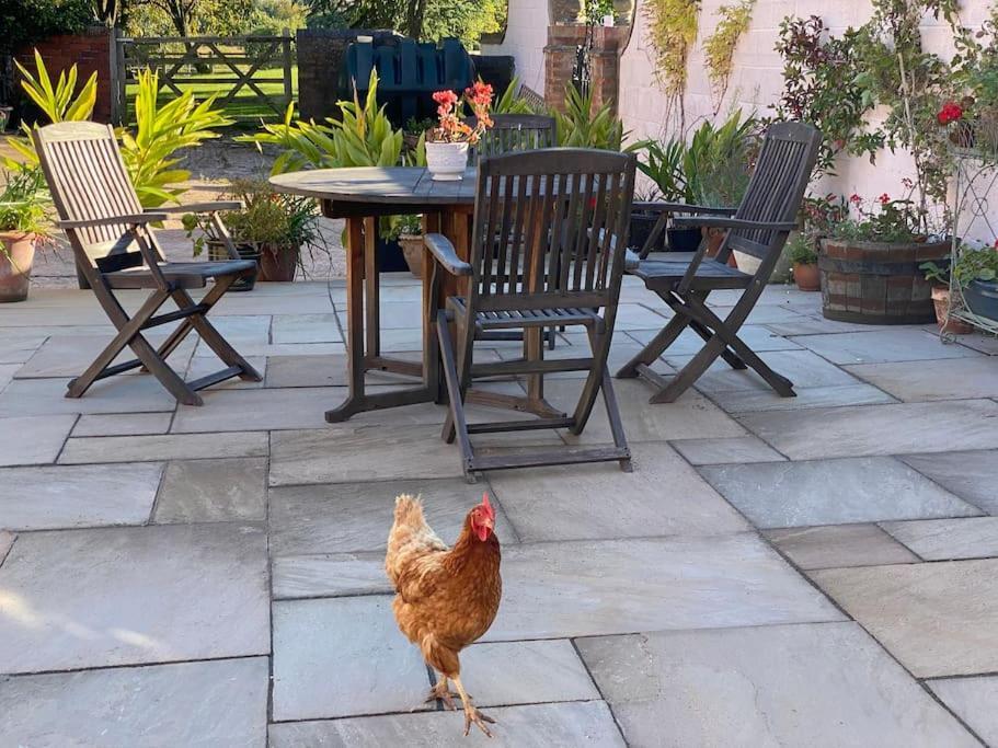 Cottage Barn Conversion On Working Farm Ουόρσεστερ Εξωτερικό φωτογραφία