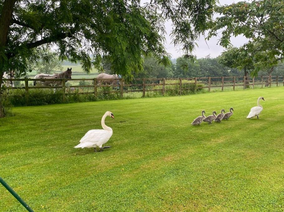 Cottage Barn Conversion On Working Farm Ουόρσεστερ Εξωτερικό φωτογραφία